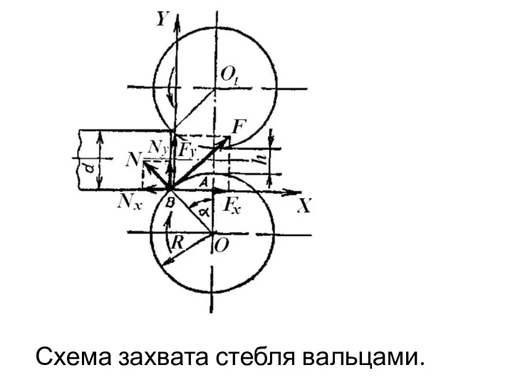 Схема захвата стебля вальцами.