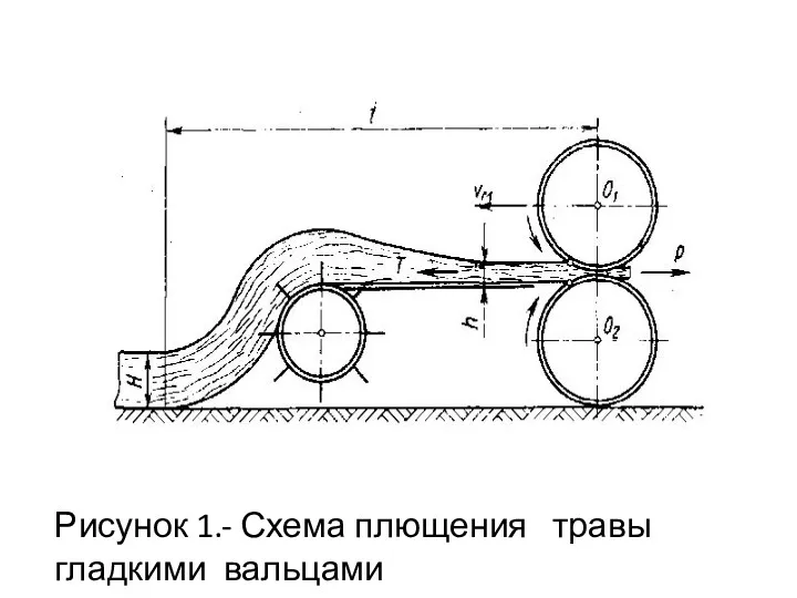 Рисунок 1.- Схема плющения травы гладкими вальцами