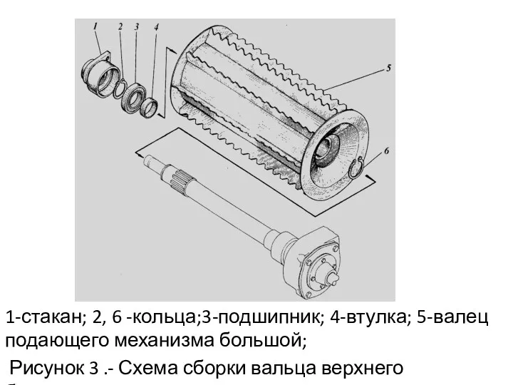 1-стакан; 2, 6 -кольца;3-подшипник; 4-втулка; 5-валец подающего механизма большой; Рисунок 3 .- Схема