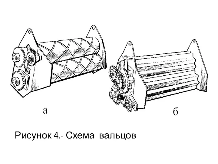 Рисунок 4.- Схема вальцов