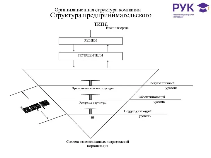 Организационная структура компании Структура предпринимательского типа