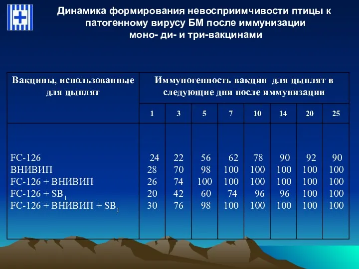 Динамика формирования невосприимчивости птицы к патогенному вирусу БМ после иммунизации моно- ди- и три-вакцинами