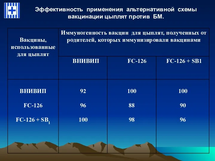 Эффективность применения альтернативной схемы вакцинации цыплят против БМ.