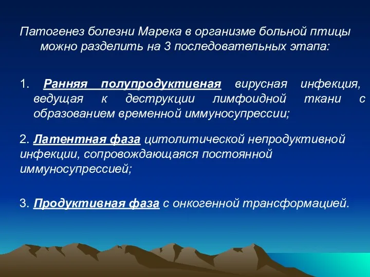 Патогенез болезни Марека в организме больной птицы можно разделить на 3 последовательных этапа: