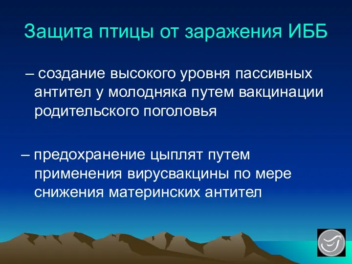 Защита птицы от заражения ИББ – создание высокого уровня пассивных