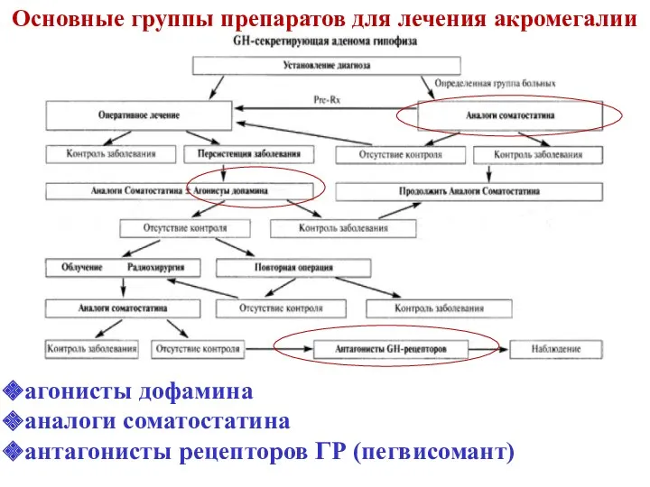 Основные группы препаратов для лечения акромегалии агонисты дофамина аналоги соматостатина антагонисты рецепторов ГР (пегвисомант)