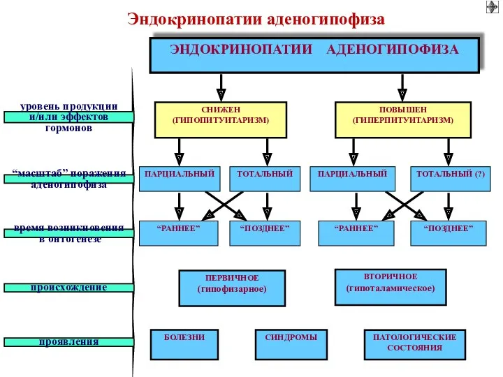 Эндокринопатии аденогипофиза