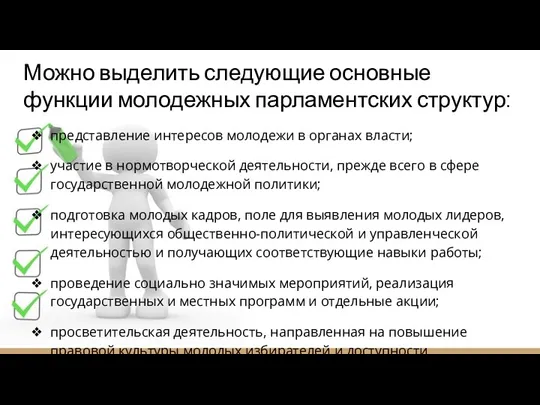 Можно выделить следующие основные функции молодежных парламентских структур: представление интересов