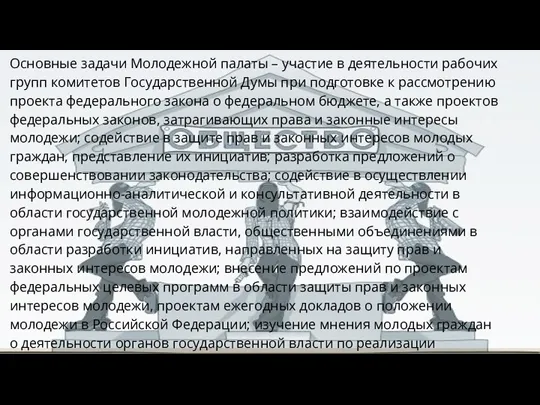 Основные задачи Молодежной палаты – участие в деятельности рабочих групп