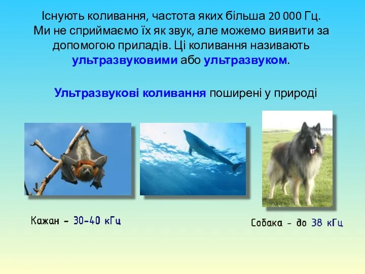 Ультразвукові коливання поширені у природі Існують коливання, частота яких більша