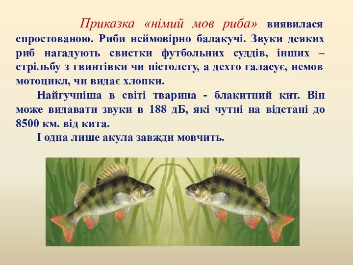 Приказка «німий мов риба» виявилася спростованою. Риби неймовірно балакучі. Звуки