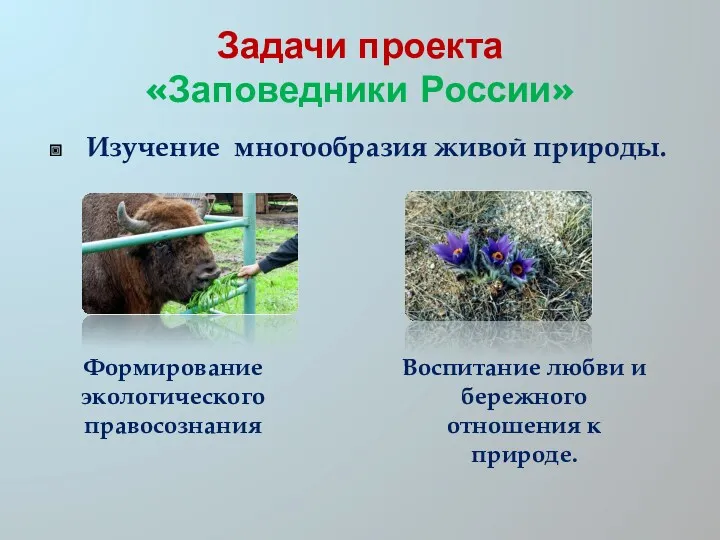 Задачи проекта «Заповедники России» Изучение многообразия живой природы. Формирование экологического