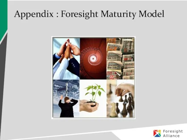 Appendix : Foresight Maturity Model