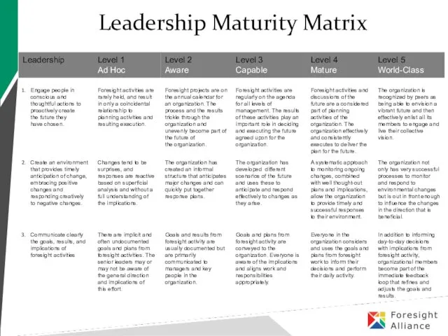 Leadership Maturity Matrix