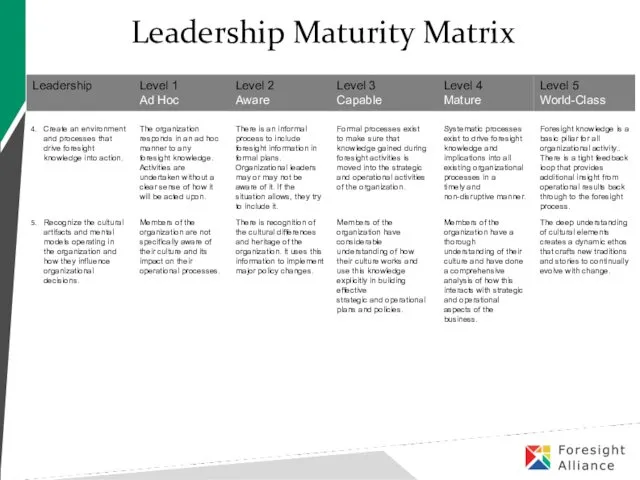 Leadership Maturity Matrix