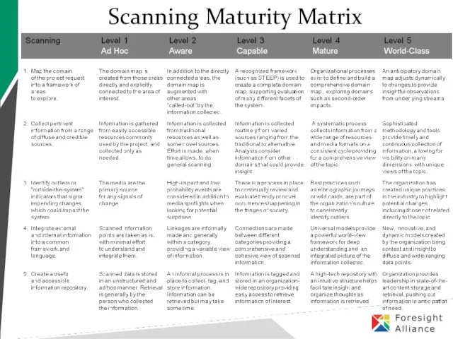 Scanning Maturity Matrix