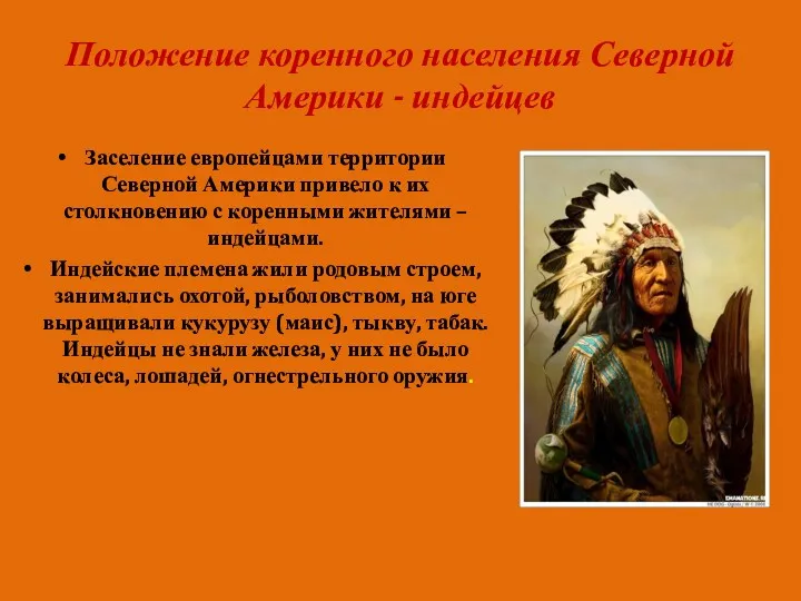 Положение коренного населения Северной Америки - индейцев Заселение европейцами территории