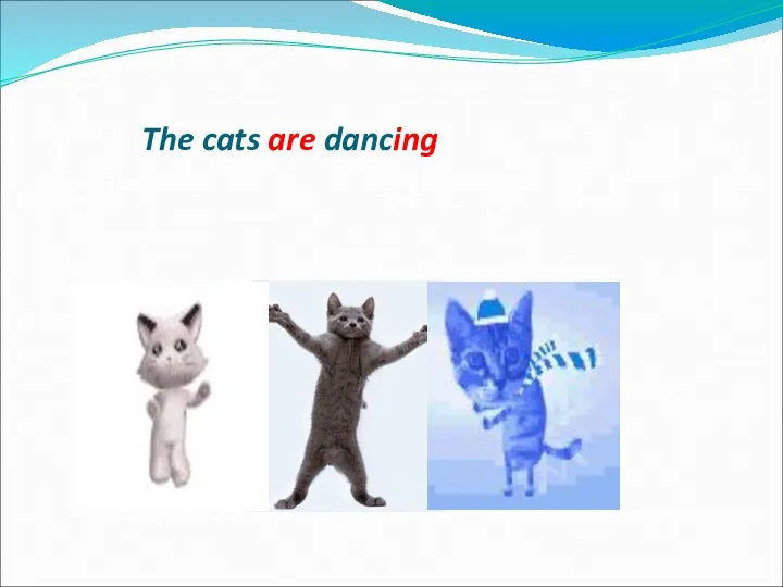 The cats are dancing