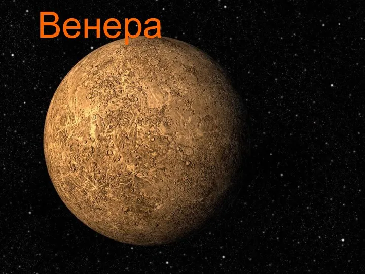 Венера