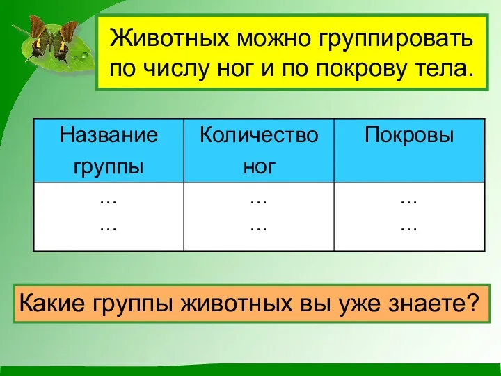 Животных можно группировать по числу ног и по покрову тела. Какие группы животных вы уже знаете?