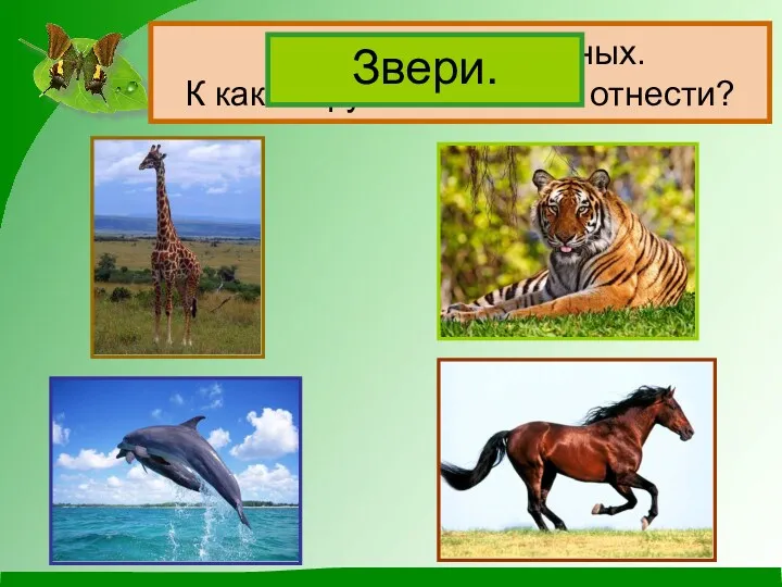 Назови этих животных. К какой группе их можно отнести? Звери.