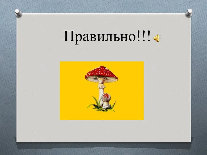 Правильно!!!