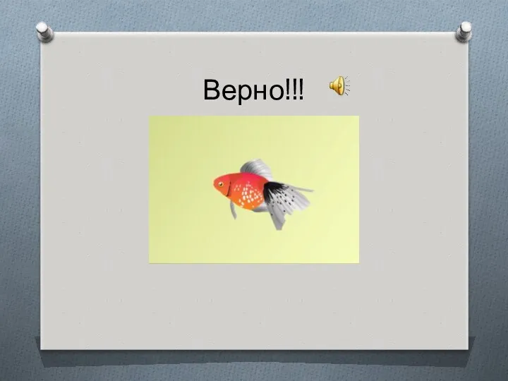 Верно!!!