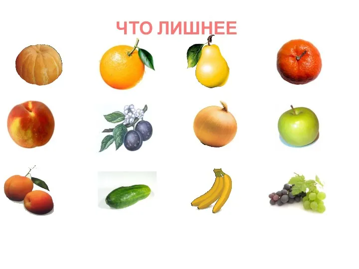 ЧТО ЛИШНЕЕ