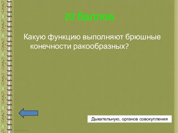 20 баллов Какую функцию выполняют брюшные конечности ракообразных? Дыхательную, органов совокупления