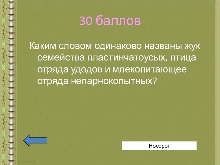 30 баллов Каким словом одинаково названы жук семейства пластинчатоусых, птица отряда удодов и