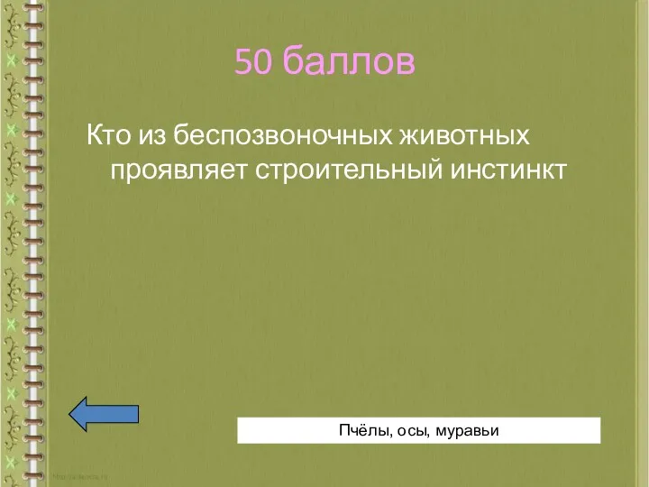 50 баллов Кто из беспозвоночных животных проявляет строительный инстинкт Пчёлы, осы, муравьи