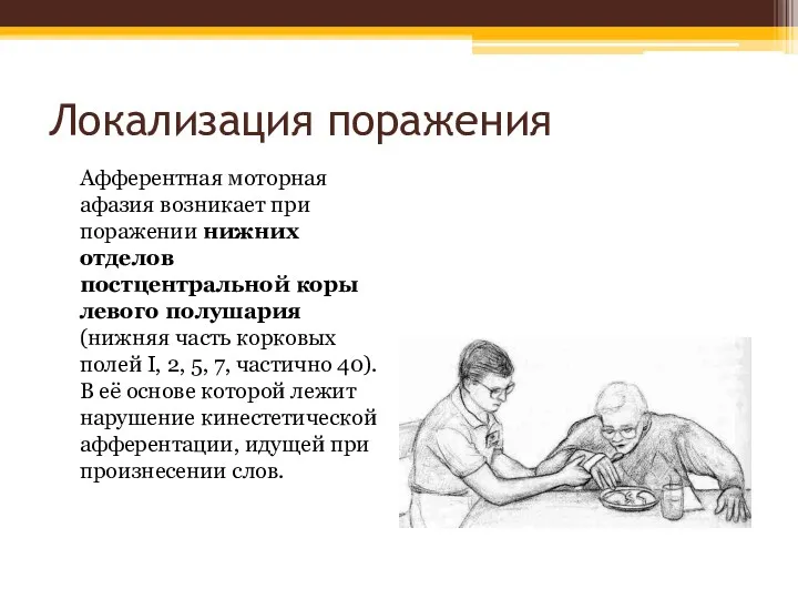 Локализация поражения Афферентная моторная афазия возникает при поражении нижних отделов