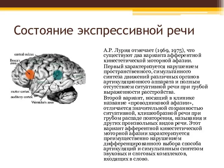 Состояние экспрессивной речи А.Р. Лурия отмечает (1969, 1975), что существуют