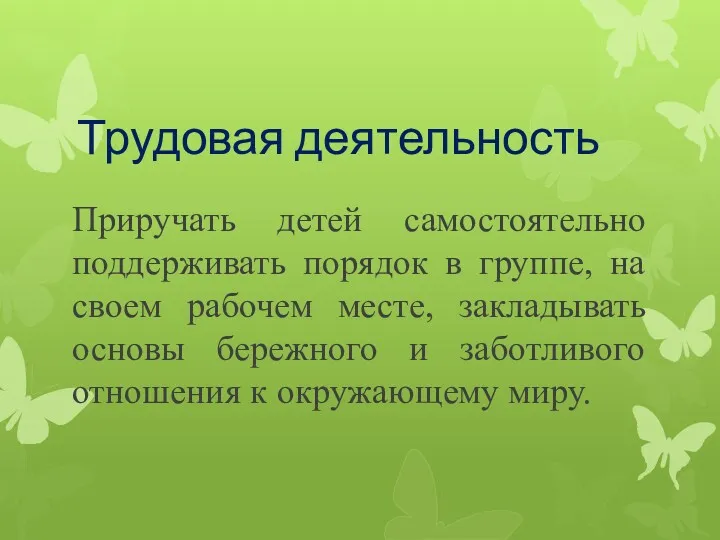 Трудовая деятельность Приручать детей самостоятельно поддерживать порядок в группе, на