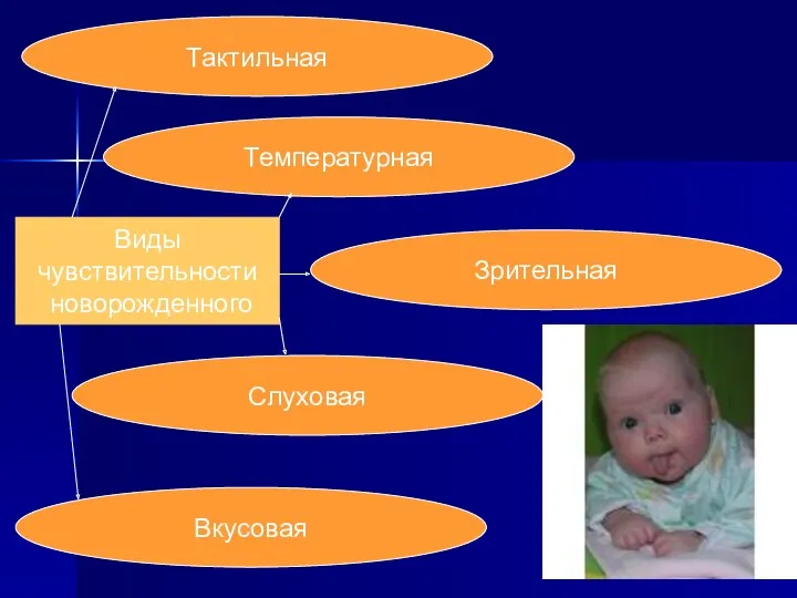 Виды чувствительности новорожденного Тактильная Зрительная Вкусовая Слуховая Температурная