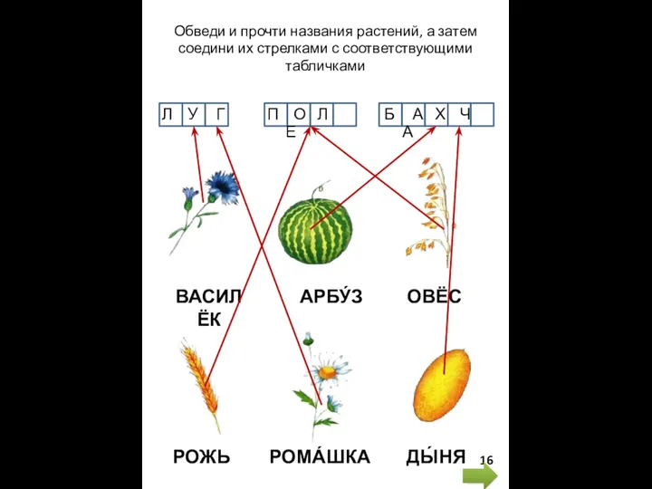 Обведи и прочти названия растений, а затем соедини их стрелками