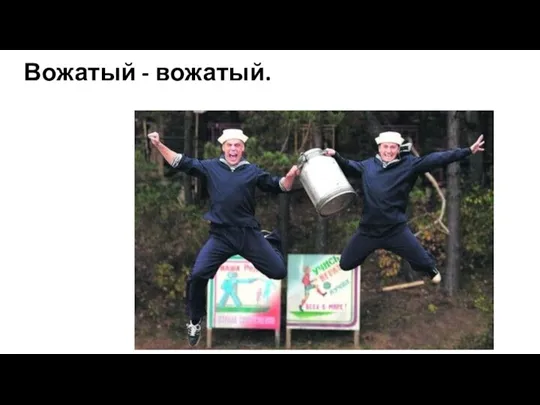 Вожатый - вожатый.