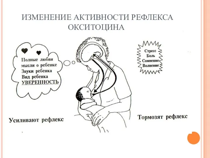 ИЗМЕНЕНИЕ АКТИВНОСТИ РЕФЛЕКСА ОКСИТОЦИНА