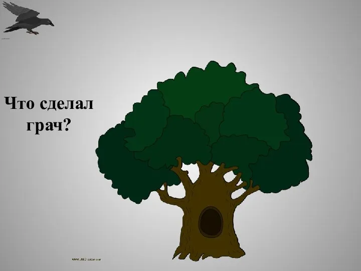 Что сделал грач?