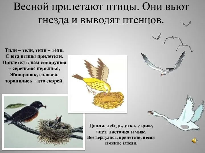 Весной прилетают птицы. Они вьют гнезда и выводят птенцов. Тили – тели, тили