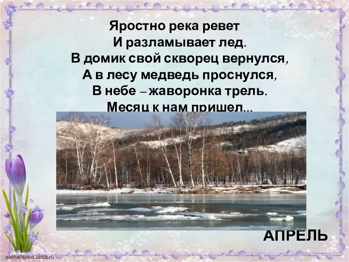 Яростно река ревет И разламывает лед. В домик свой скворец