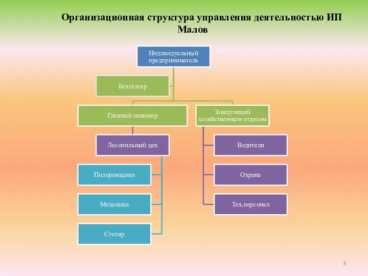 Организационная структура управления деятельностью ИП Малов