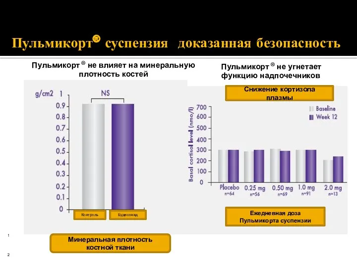 Пульмикорт ® не влияет на минеральную плотность костей Пульмикорт ®