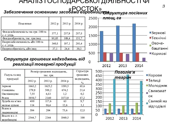 АНАЛІЗ ГОСПОДАРСЬКОЇ ДІЯЛЬНОСТІ ФГ «РОСТОК» 3 Забезпечення основними засобами виробництва