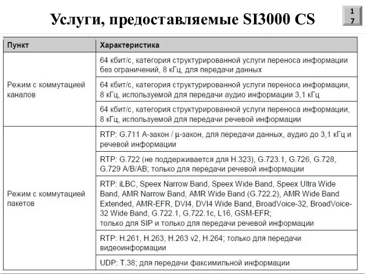 Услуги, предоставляемые SI3000 CS 17