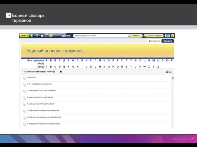 Единый словарь терминов