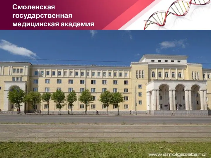 Смоленская государственная медицинская академия