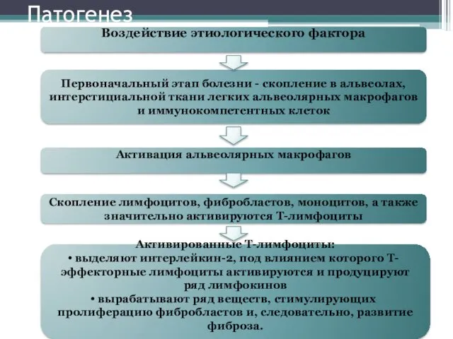 Патогенез Воздействие этиологического фактора Первоначальный этап болезни - скопление в