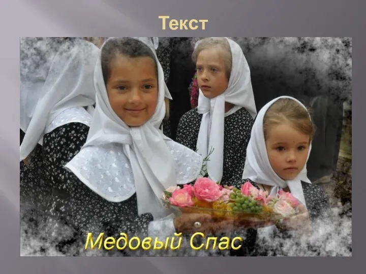 Текст