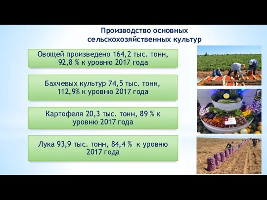 Овощей произведено 164,2 тыс. тонн, 92,8 % к уровню 2017